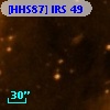 [HHS87] IRS 49