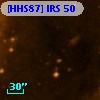 [HHS87] IRS 50