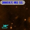 [HHS87] IRS 55