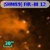 [SHM89] FIR-III  12