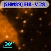 [SHM89] FIR-V  28