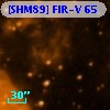 [SHM89] FIR-V  65