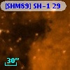 [SHM89] SH-1  29