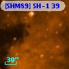 [SHM89] SH-1  39
