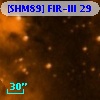 [SHM89] FIR-III  29