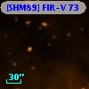 [SHM89] FIR-V  73