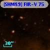 [SHM89] FIR-V  75