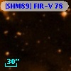 [SHM89] FIR-V  78