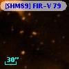 [SHM89] FIR-V  79