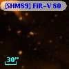 [SHM89] FIR-V  80