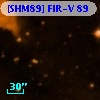 [SHM89] FIR-V  89