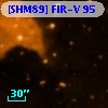 [SHM89] FIR-V  95
