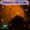 [SHM89] FIR-V  98