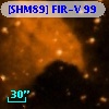 [SHM89] FIR-V  99