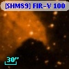 [SHM89] FIR-V 100