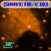 [SHM89] FIR-V 103