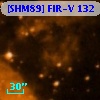 [SHM89] FIR-V 132