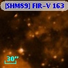 [SHM89] FIR-V 163