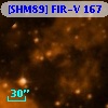 [SHM89] FIR-V 167