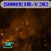 [SHM89] FIR-V 202
