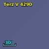 Terz V 4290