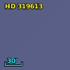 HD 319613