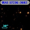 IRAS 17236-3602