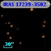 IRAS 17239-3502