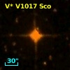 V* V1017 Sco