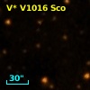 V* V1016 Sco