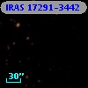 IRAS 17291-3442