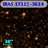 IRAS 17312-3614