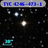 TYC 4246-473-1