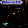 [RHI84]  8-318
