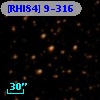 [RHI84]  9-316