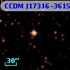 CCDM J17316-3615B