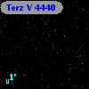 Terz V 4440