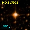 HD 317905