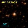 HD 317903