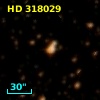 HD 318029
