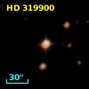 HD 319900