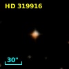 HD 319916