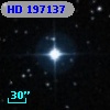 HD 197137