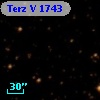 Terz V 1743