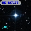 HD 197175