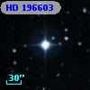 HD 196603
