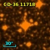 TYC 7388-673-1