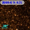 [RHI84]  9-825