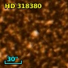 HD 318380