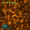 V* FY Sco